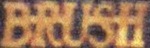 Brush Logo